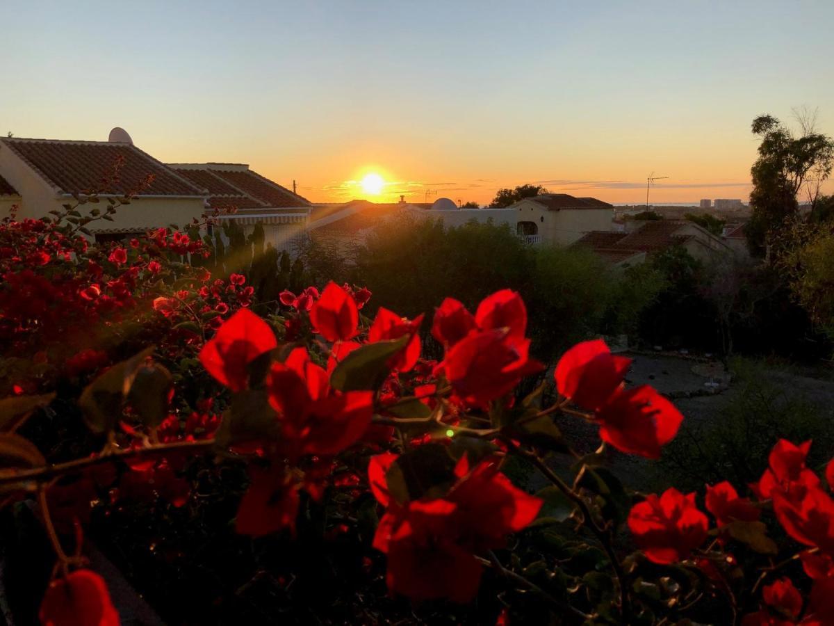 Sonniges Apartment An Der Costa Blanca San Fulgencio ภายนอก รูปภาพ